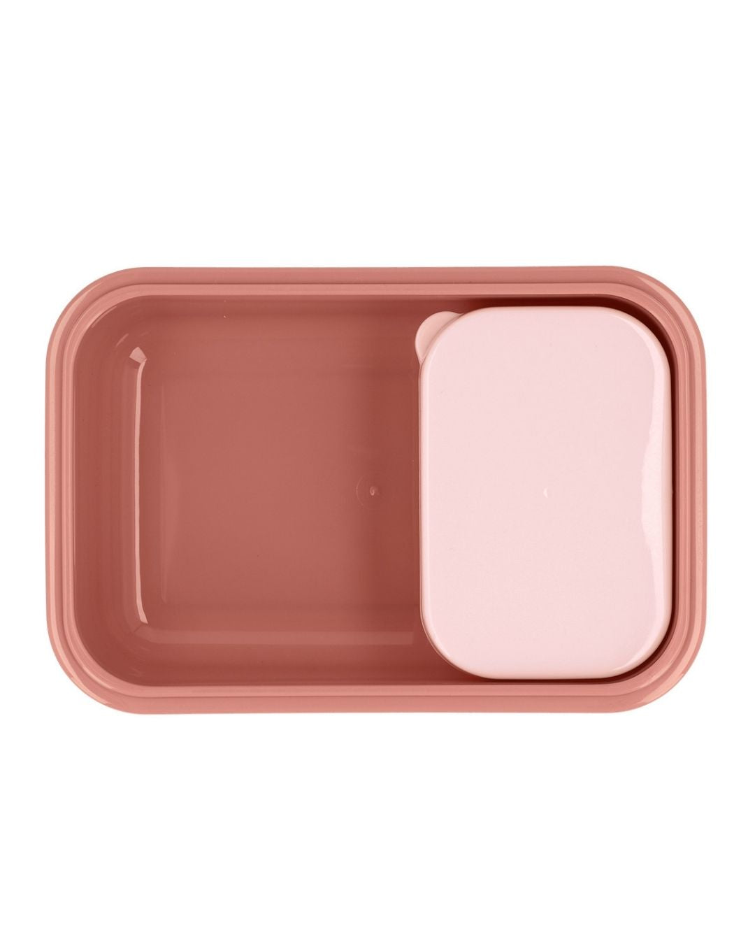 Caja Almuerzo Bento Mouse Fairies 🐭🧚- Tutete