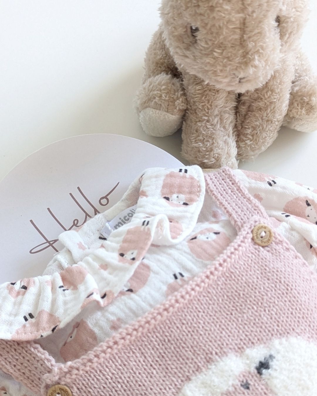 Conjunto Micolino Rosa Empolvado Familia Contanza - Micolino