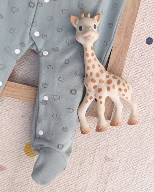 Pelele enterizo Friendly Verde empolvado - Babidu