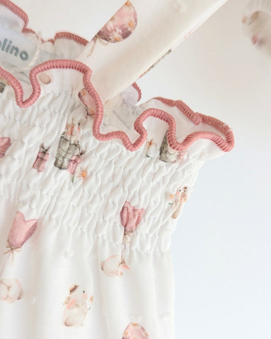 Ranita Familia Dennise - Micolino