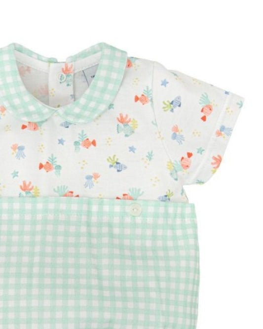 Pelele Niño Cuello Bebé Ternura - Babidu