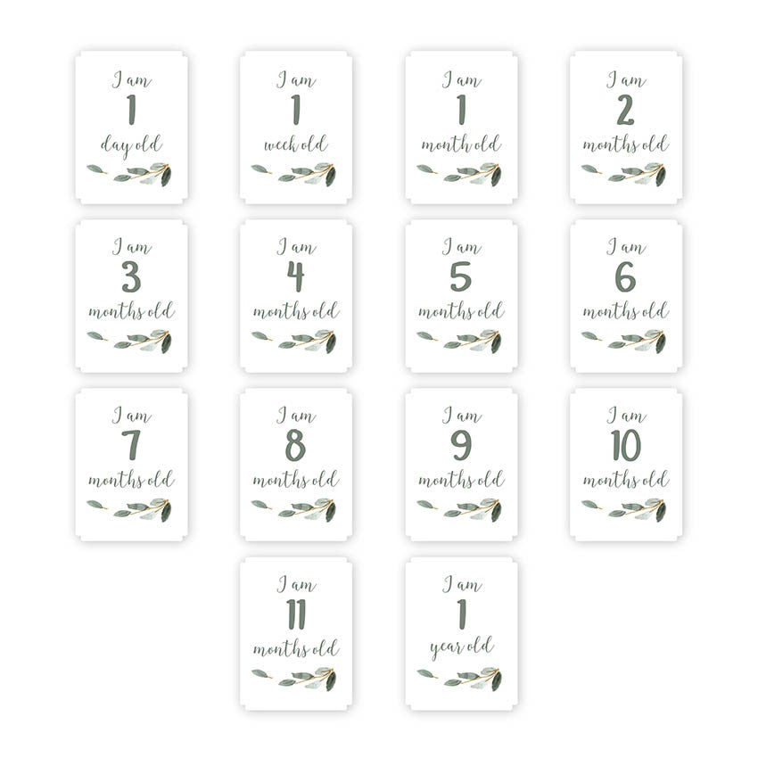 Muselina & Tarjetas - All you need is love