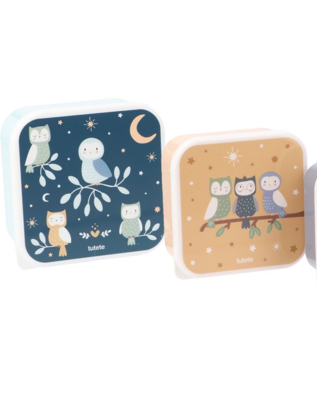 3 Cajas Almuerzo Magical Forest 🦉 Búhos - Tutete