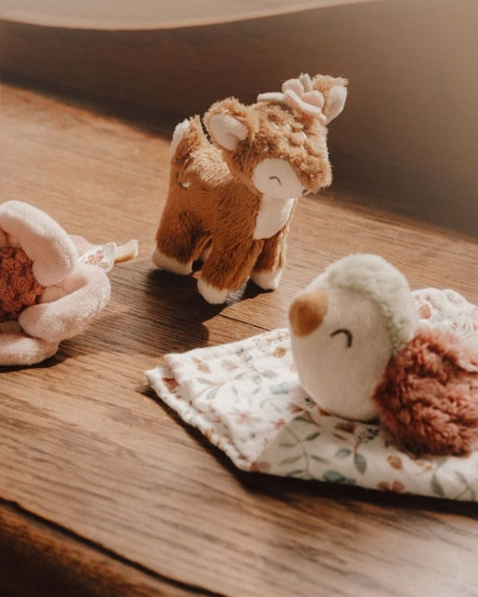 Caja De Regalo Fairy Garden - Little Dutch