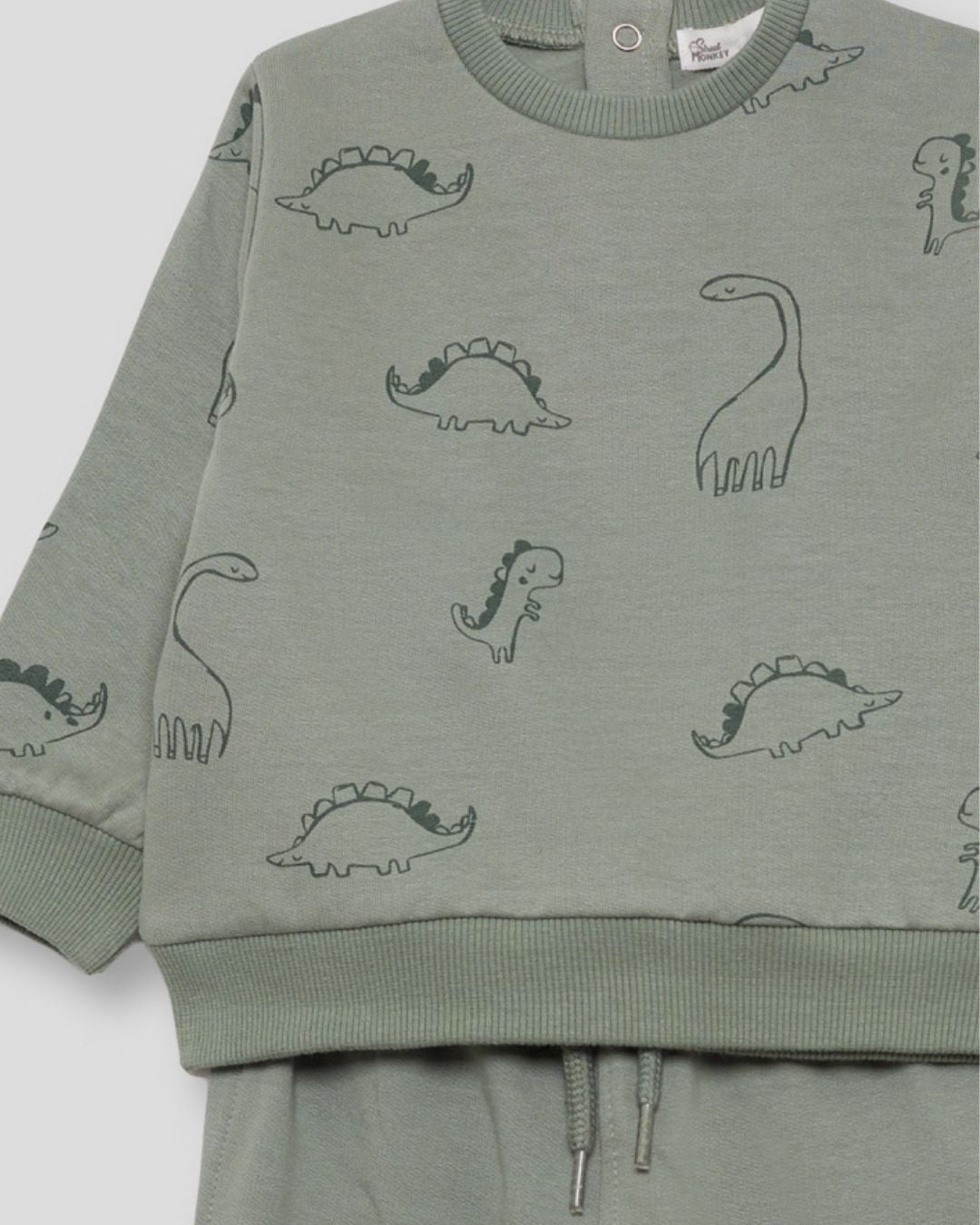 Chándal Dinos Verde - Street Monkey Referencia 354014