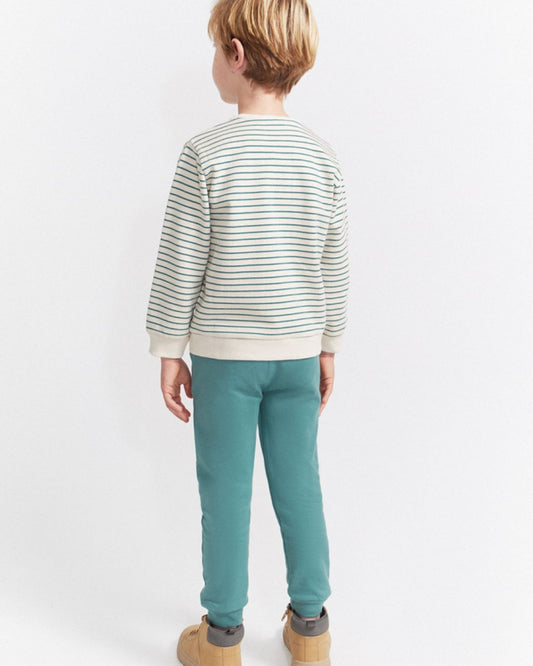 Chandal Rayas Erizo Verde - Street Monkey 354050