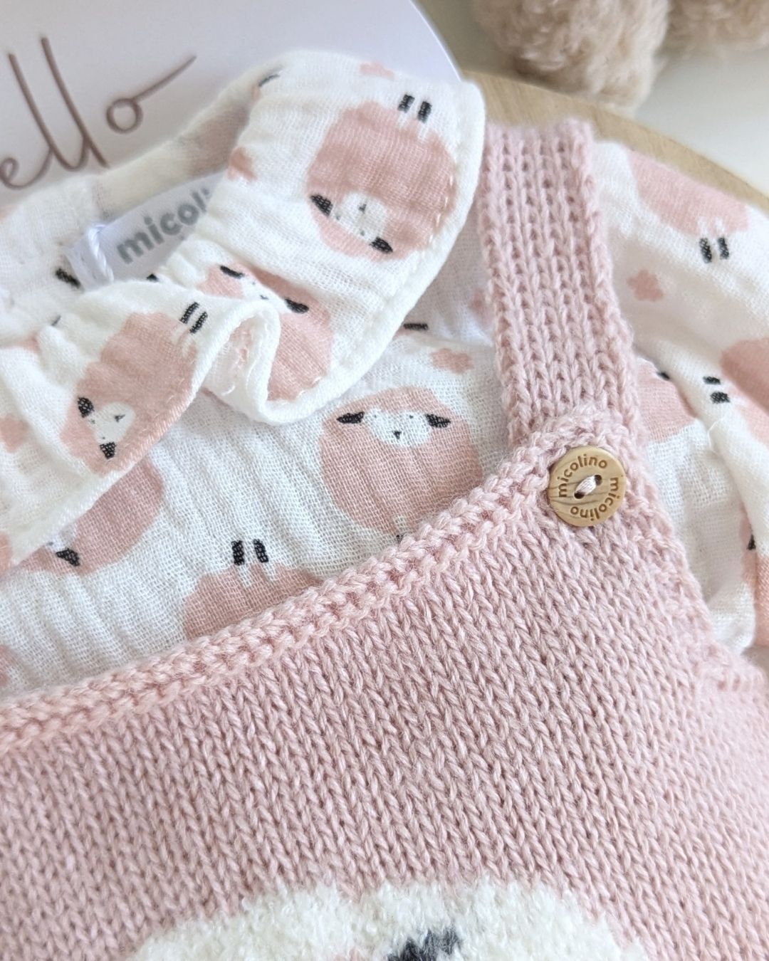 Conjunto Micolino Rosa Empolvado Familia Contanza - Micolino