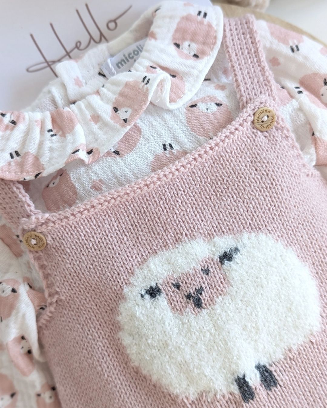 Conjunto Micolino Rosa Empolvado Familia Contanza - Micolino