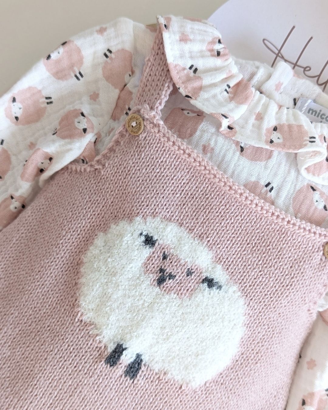 Conjunto Micolino Rosa Empolvado Familia Contanza - Micolino