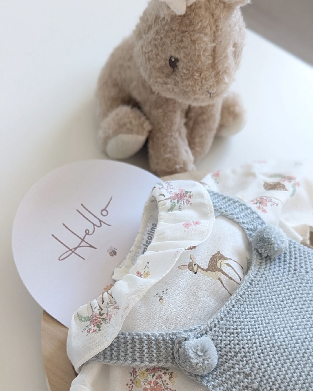 Conjunto Micolino Verde Seda Familia Beatrice - Micolino