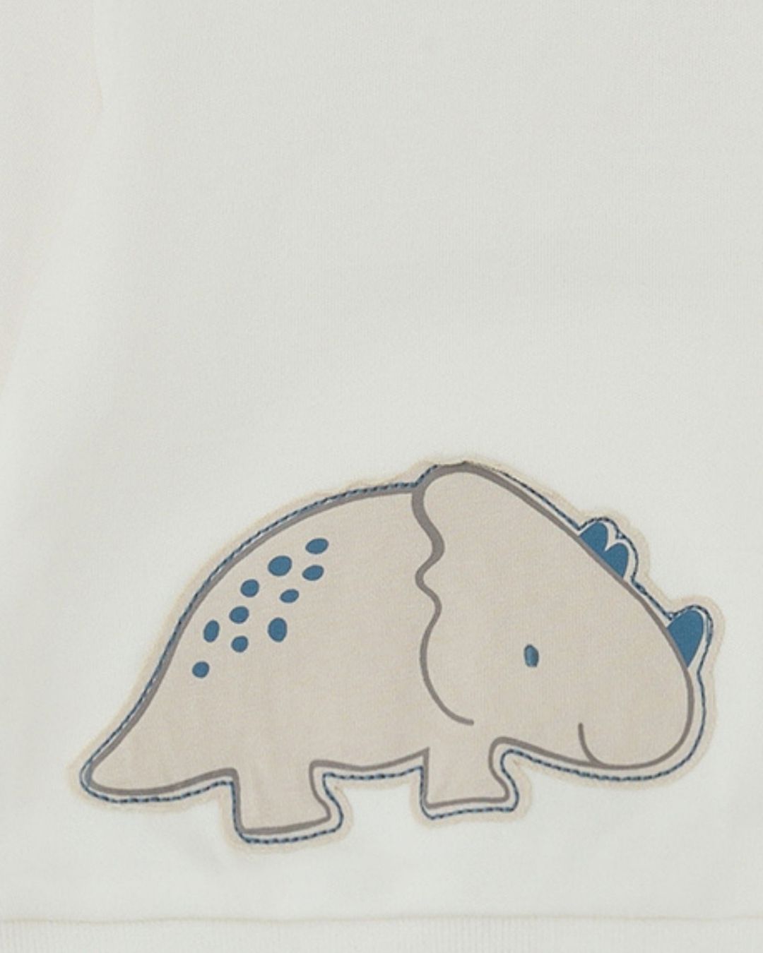 Conjunto Sudadera Dinosaurio - Tutto Piccolo