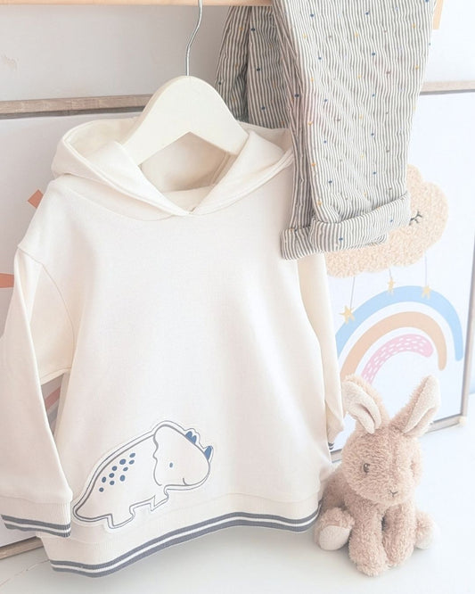Conjunto Sudadera Dinosaurio - Tutto Piccolo