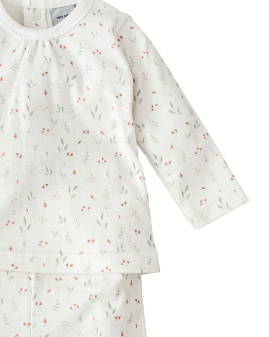 Pack Nacimiento Flor Armonia - Babidu